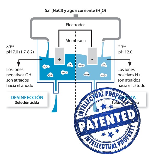 ECAS Diaphragm Reactor Process